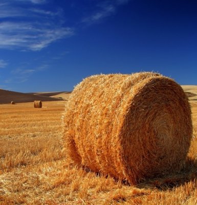 PP Danline Rope - White with Blue Flecks